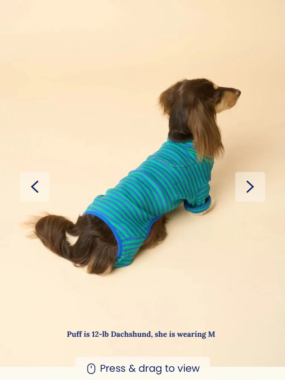 Ivy Prep Onesie - Blue & Green Striped Dog One Piece size XS